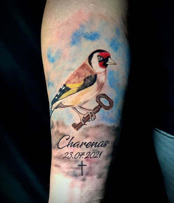 Tatuaje colorín pájaro a color en el brazo en Cartagena, Murcia