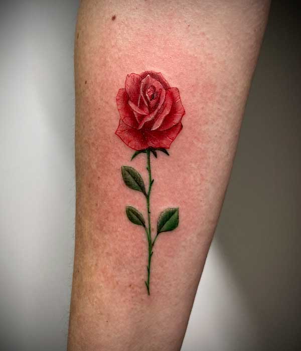 Tatuaje rosa a color en el brazo en estudio de tatuajes en Cartagena, Murcia